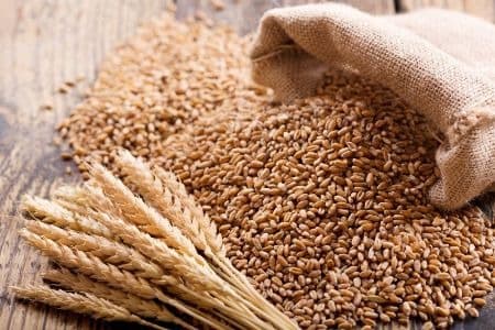Wheat Grain (Gehun)
