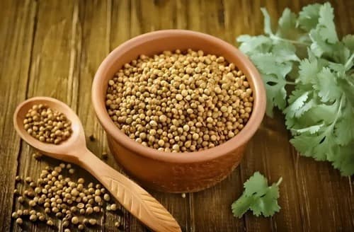 Coriander Seeds (Dhania)