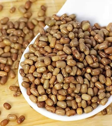 Moth Beans (Moth Dal)