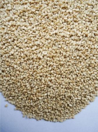 Sesame Seeds (Teel)