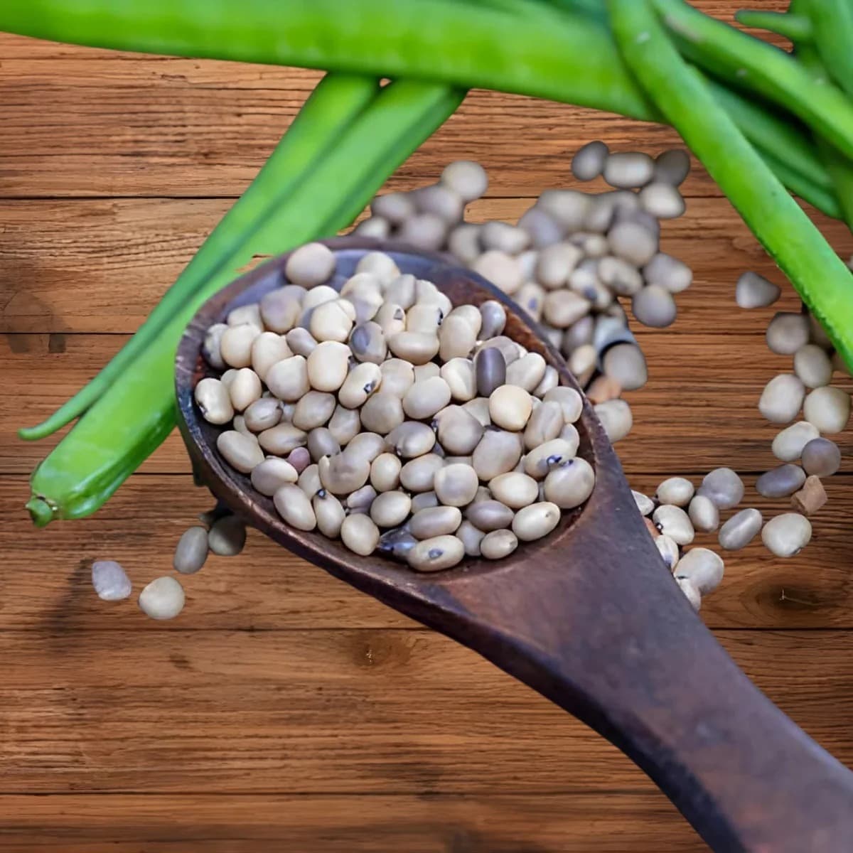 Cluster Bean (Guar)