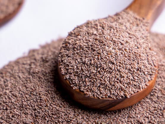 Psyllium (Isabgol)
